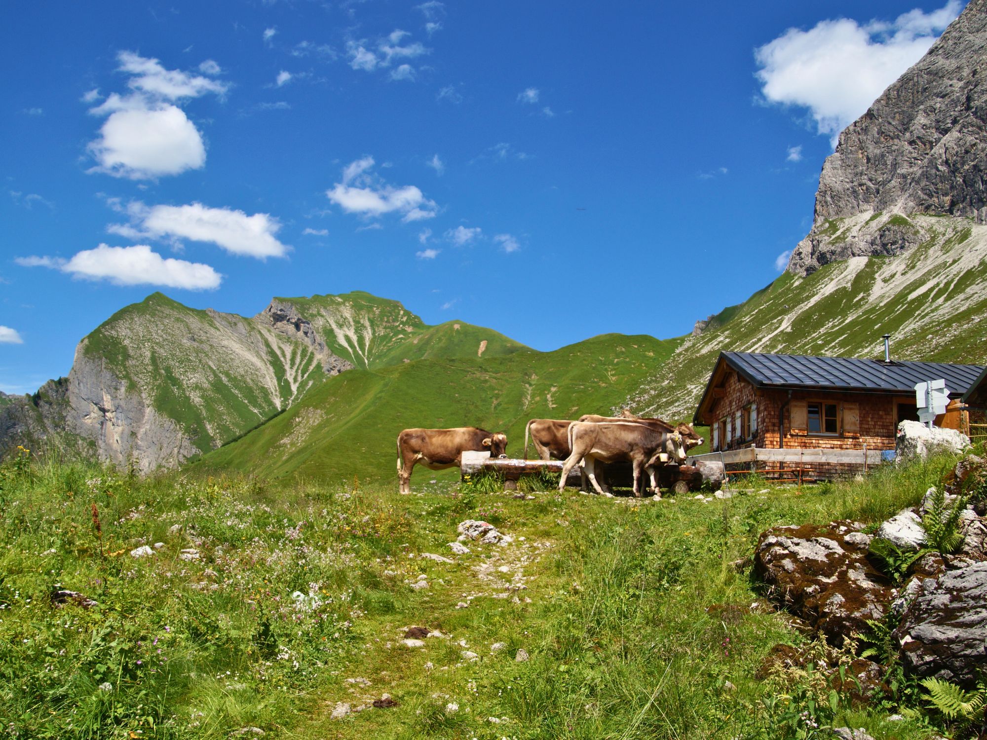 Traditionelle Almhütte in den Allgäuer Alpen auf einer grünen Wiese – beliebtes Ausflugsziel nahe dem Ferienhof Eger in Immenstadt