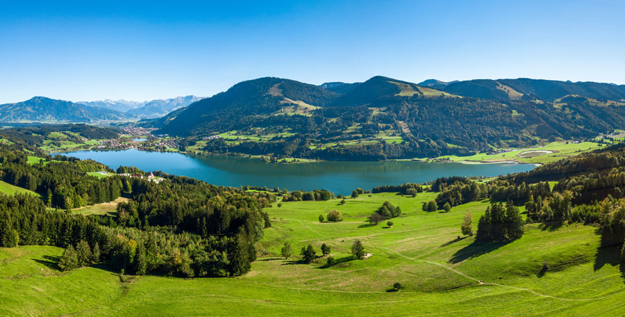 Panoramablick auf den Großen Alpsee bei Immenstadt – umgeben von grünen Wiesen und Bergen nahe dem Ferienhof Eger