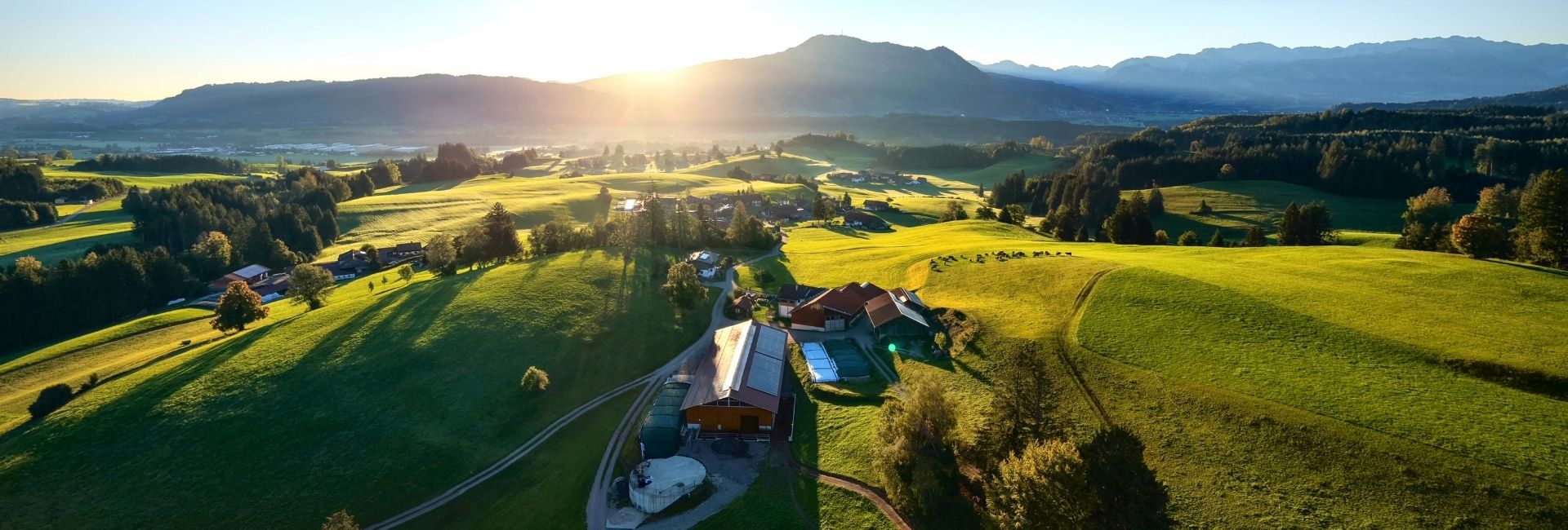 Ferienhof Eger im Allgäu bei Morgensonne mit grünen Wiesen und Bergpanorama