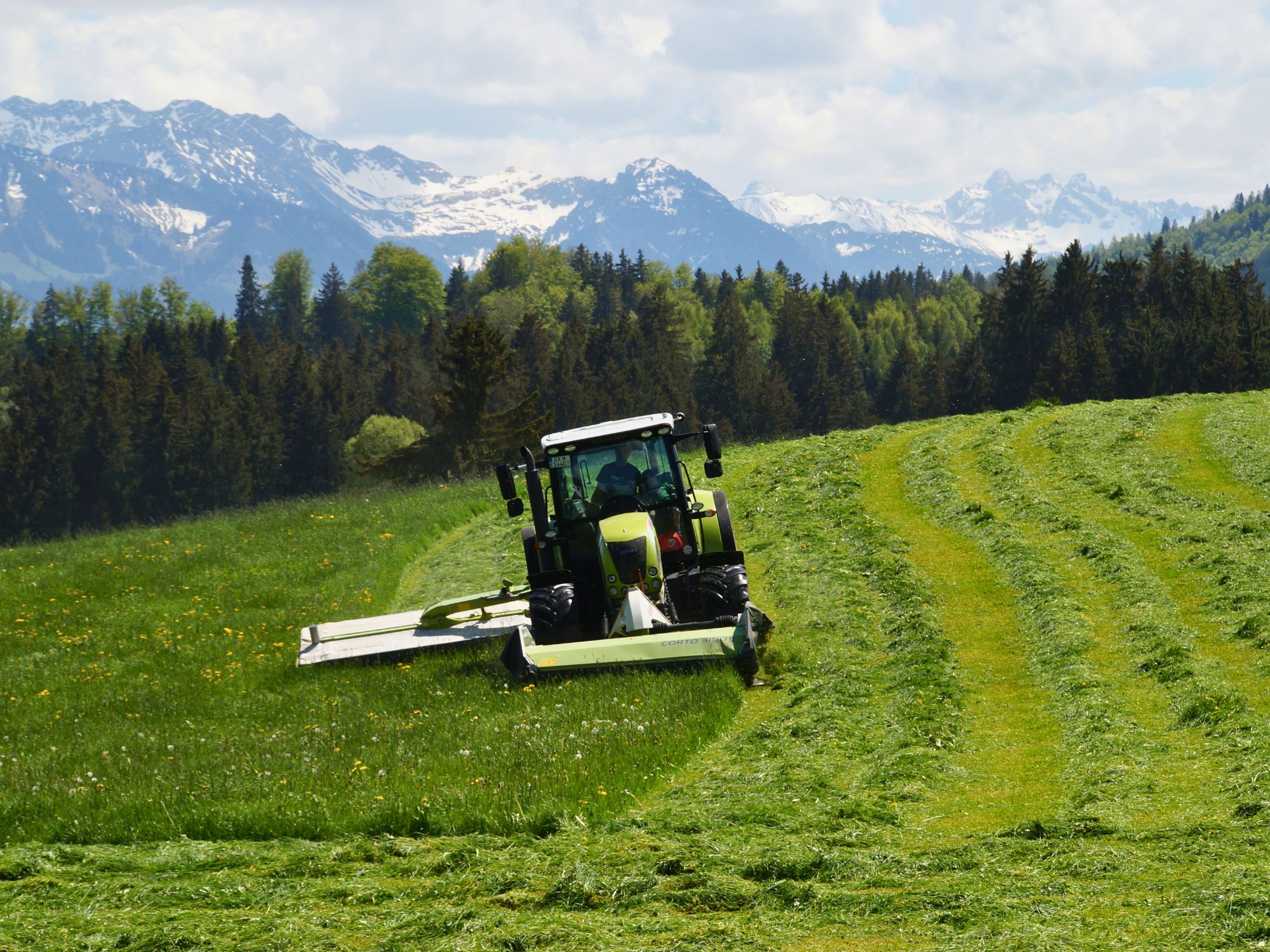 Traktor bei der Mäharbeit auf grüner Wiese vor Alpenpanorama – Ferienhof Eger, Natur und Landwirtschaft hautnah erleben