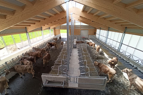Lichtdurchfluteter, moderner Kuhstall auf dem Ferienhof Eger – tierfreundlicher Bauernhofurlaub im Allgäu mit Fokus auf Tierwohl