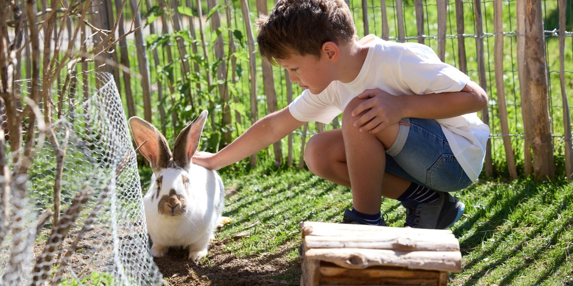 Kind streichelt ein Kaninchen auf dem Ferienhof Eger – Bauernhofurlaub mit Tieren für Kinder im Allgäu