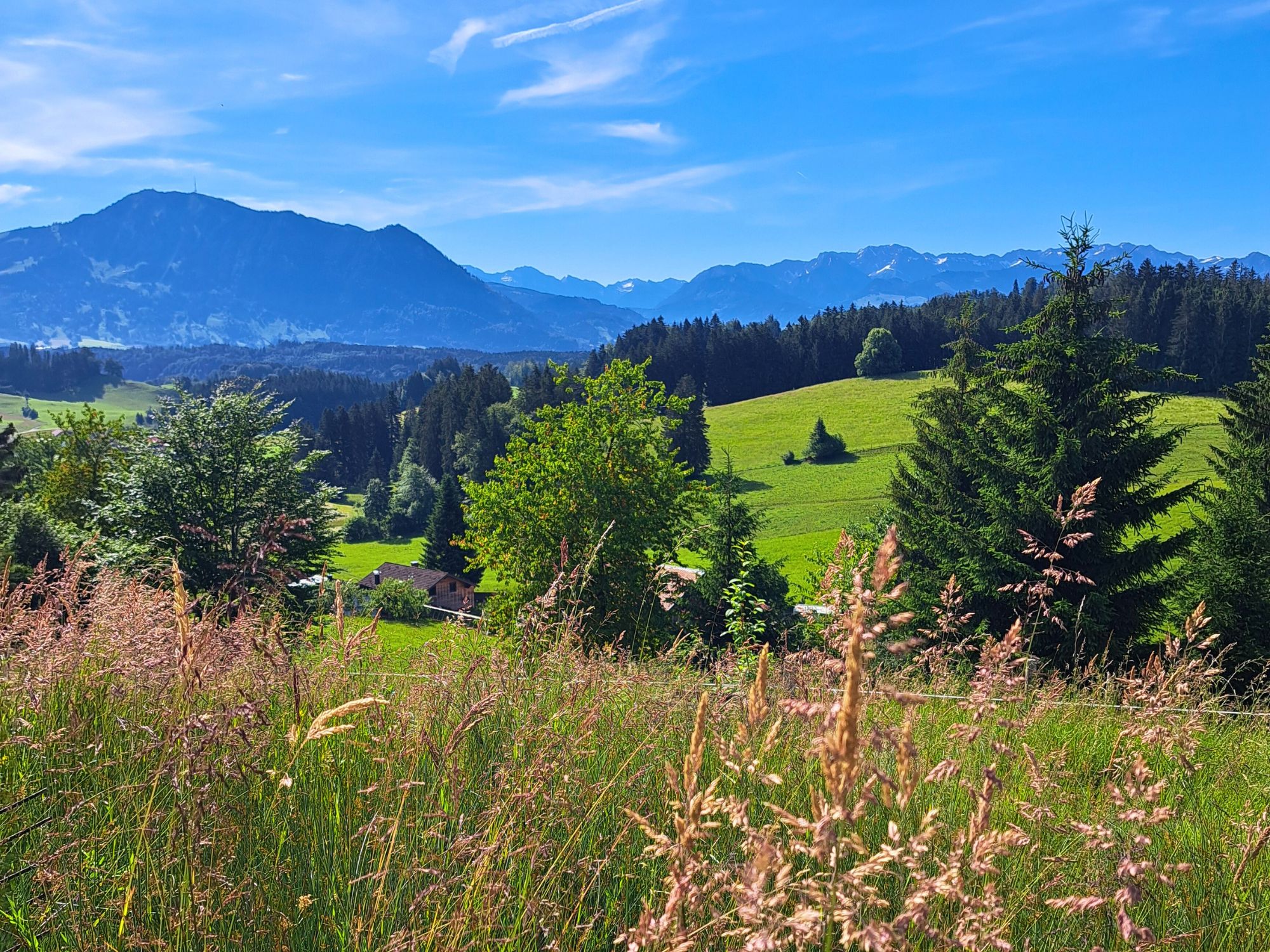 Blick auf die idyllische Allgäuer Landschaft mit Wiesen, Bergen und Weitblick – Ruhe und Natur rund um den Ferienhof Eger genießen